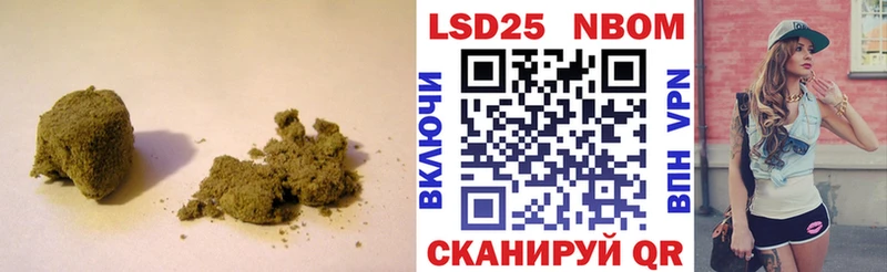 блэк спрут как зайти  Волхов  Лсд 25 экстази ecstasy  где найти  