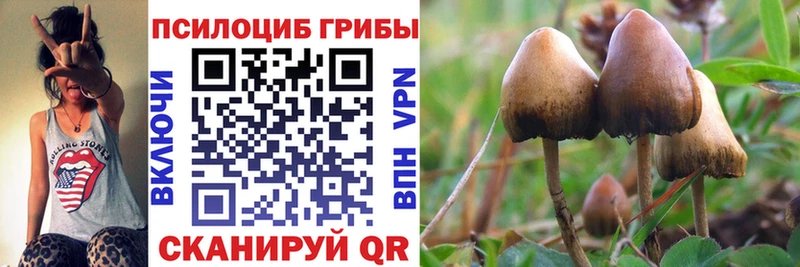Псилоцибиновые грибы GOLDEN TEACHER Волхов