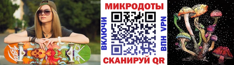 закладки  Волхов  Галлюциногенные грибы Psilocybe 