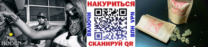 Бошки Шишки марихуана  наркошоп  Волхов 